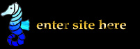 enter site